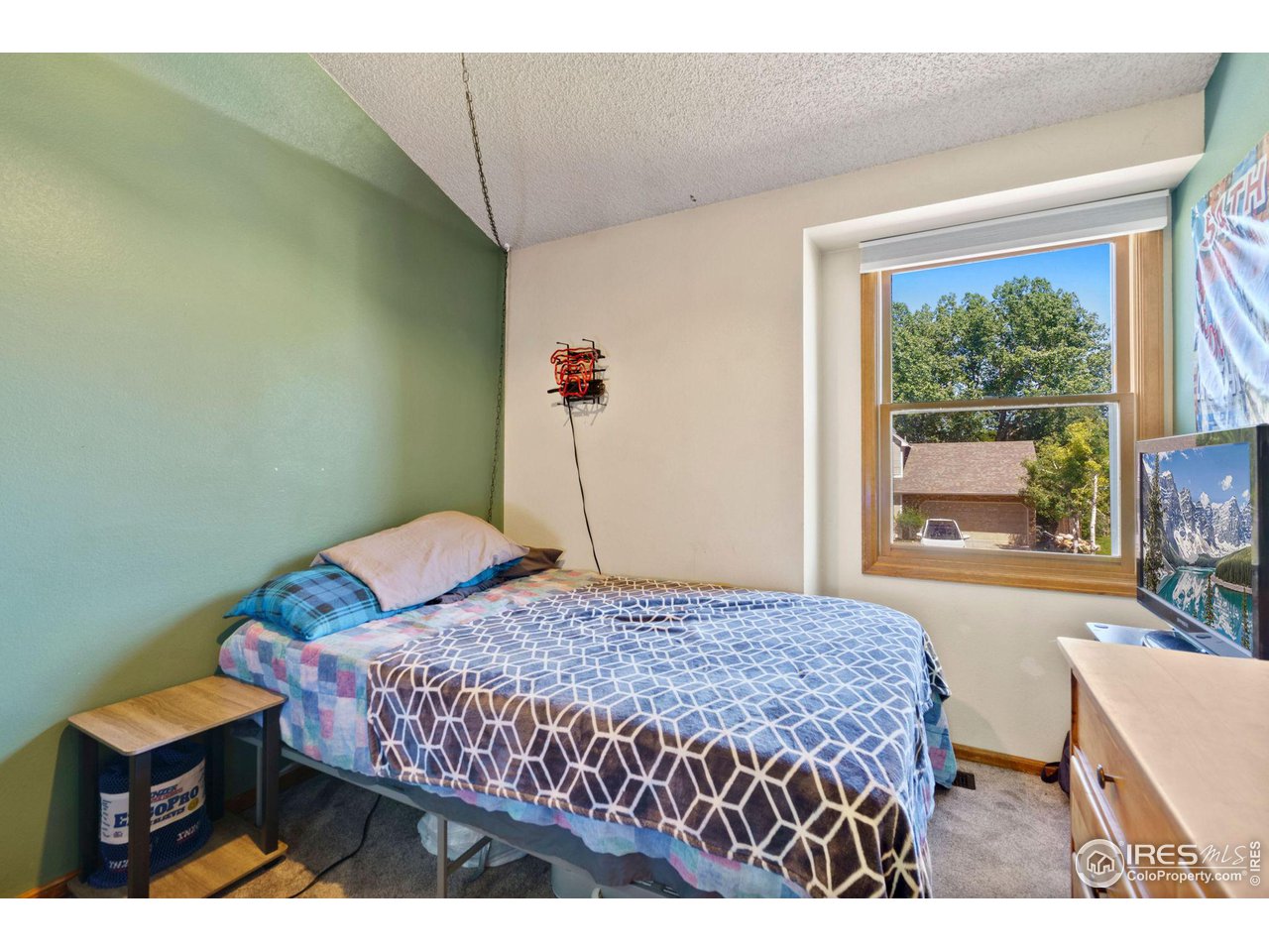 4113 Snow Ridge Circle Fort Collins, CO 80526 - Photo 15 of 24 Gallery Image 15
