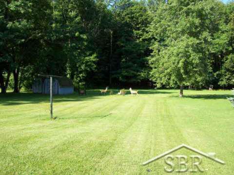 2005 West Vassar Road Reese, MI 48757 - Photo 4 of 28 20104309-3.JPG