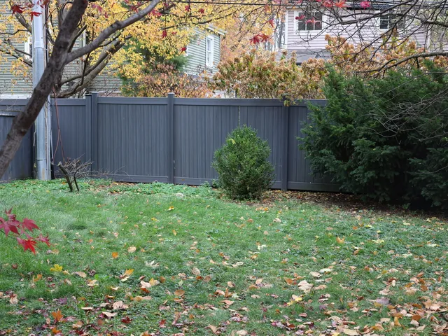a view of garden with plants and a bench