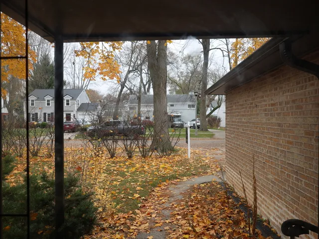a view of a back yard from a balcony