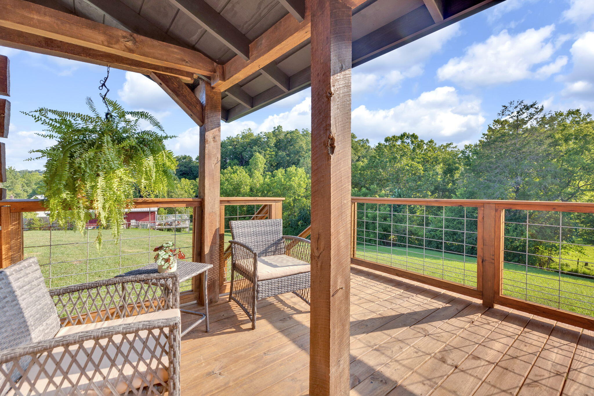 3157 Shackleford Road Mosheim, TN 37818 - Photo 14 of 28 14-web-or-mls-217A4308