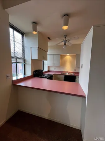 $785,000 | 2200 Menard Street, St. Louis, MO 63104