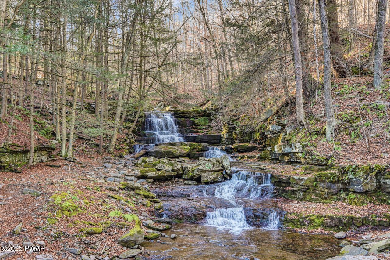 536 A Fall Brook Road Starlight, PA 18461 - Photo 116 of 150