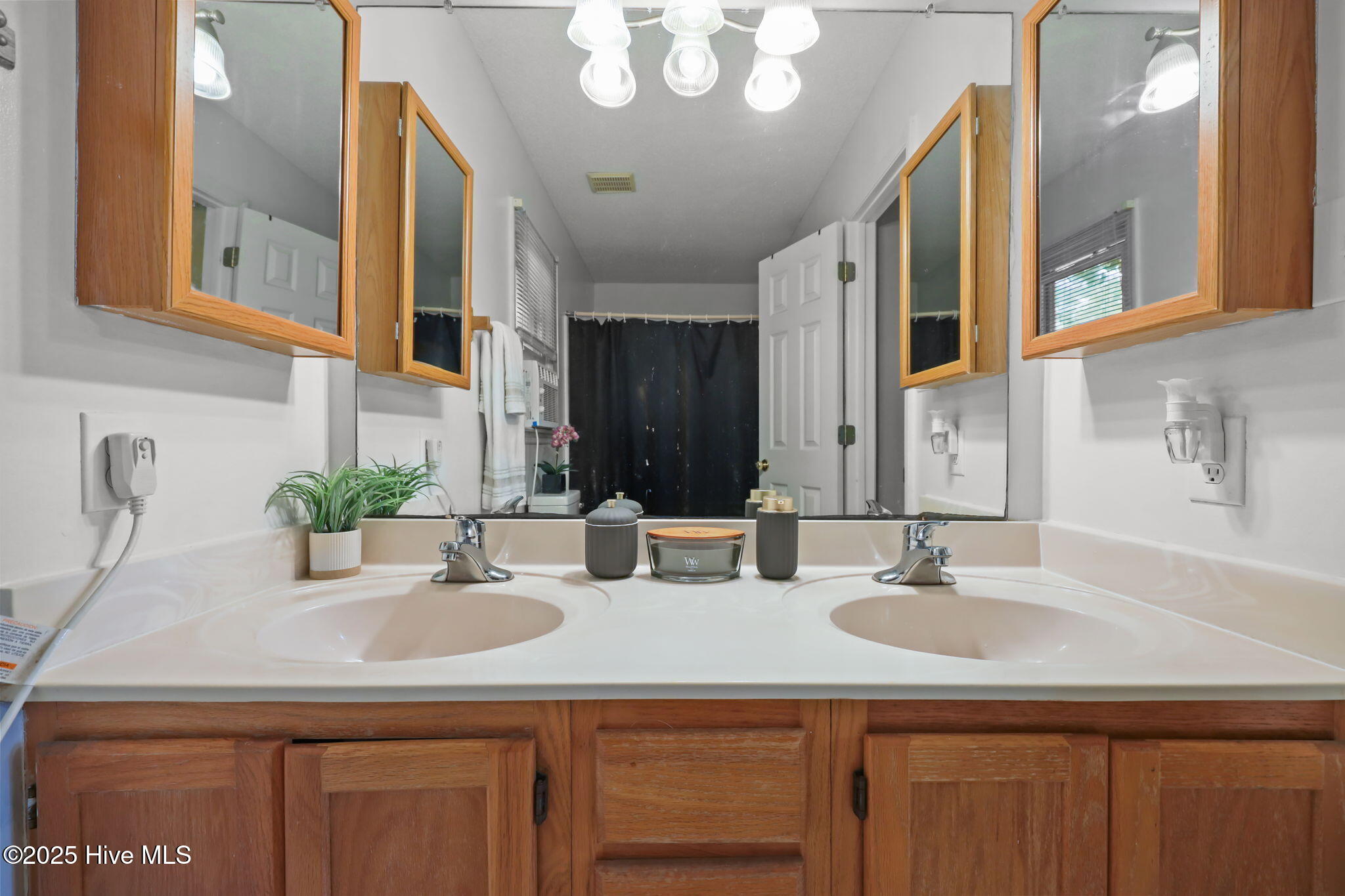 120 Winthrope Way Jacksonville, NC 28546 - Photo 12 of 24 Primary Suite Bathroom