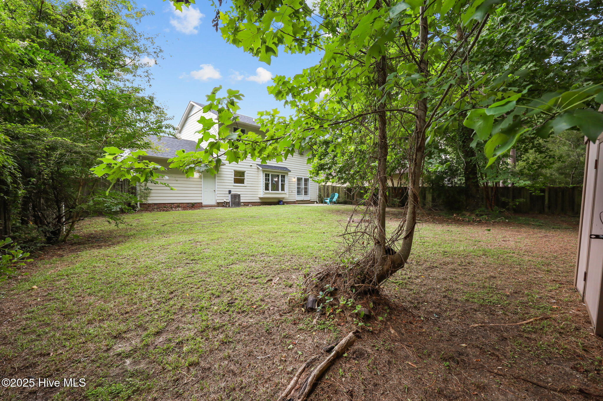 120 Winthrope Way Jacksonville, NC 28546 - Photo 17 of 24 backyardmain2