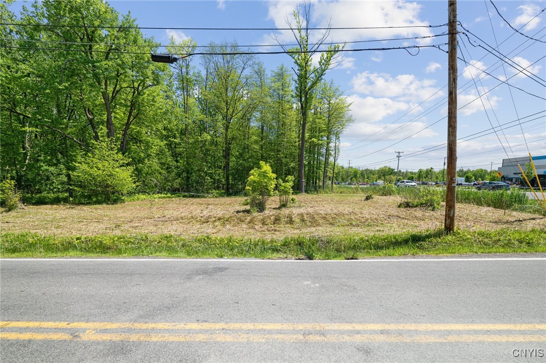 6859 Kirkville Road De Witt, NY 13057 - Photo 17 of 29