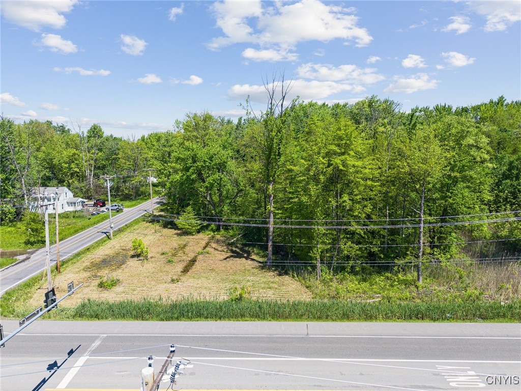 6859 Kirkville Road De Witt, NY 13057 - Photo 19 of 29