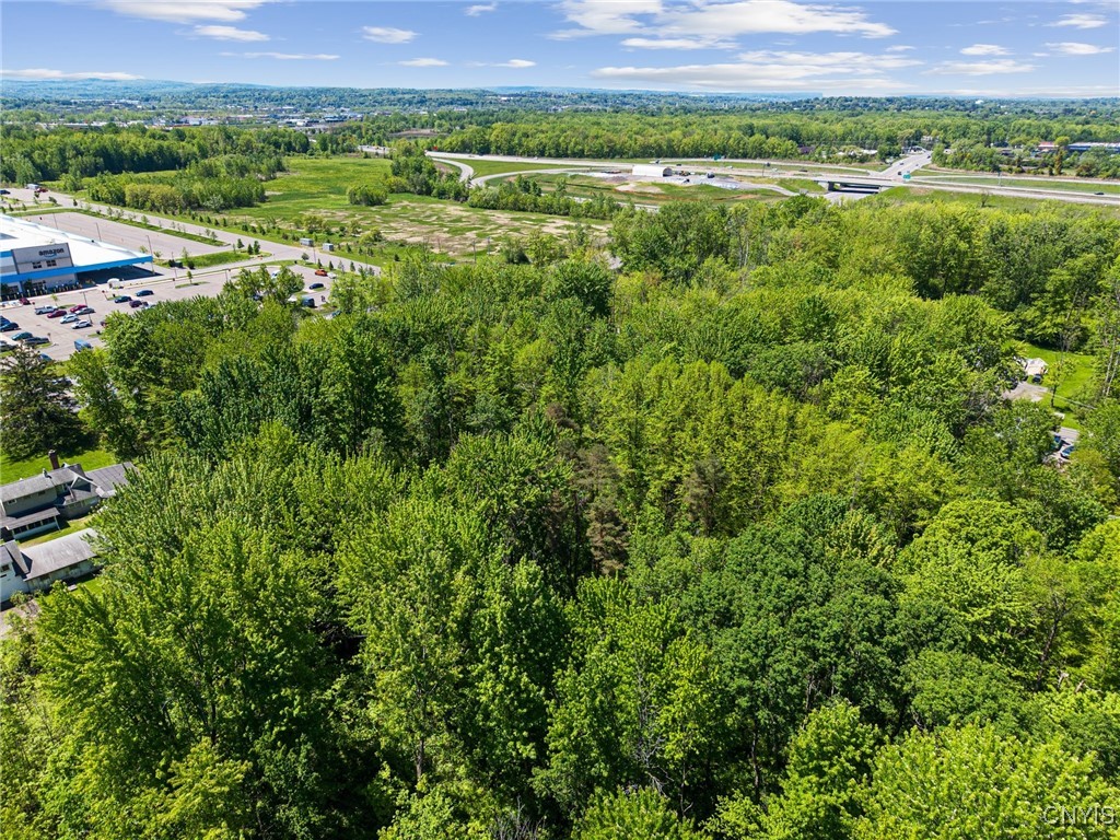 6859 Kirkville Road De Witt, NY 13057 - Photo 28 of 29