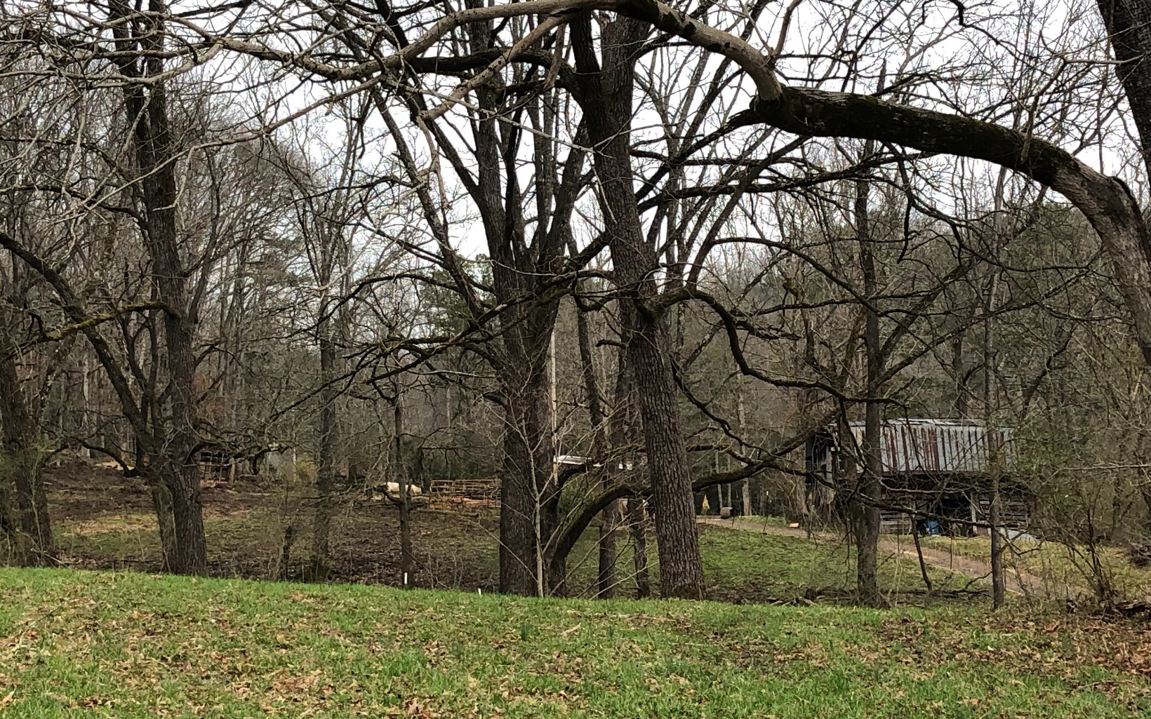 Tbd Rowland Hill Road Marble, NC 28905 - Photo 1 of 1 Main View