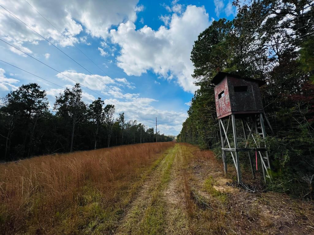 1 Anse Reed Road Magee, MS 39111 - Photo 1 of 8 Main View