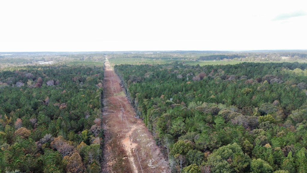 1 Anse Reed Road Magee, MS 39111 - Photo 7 of 8 Photo 7