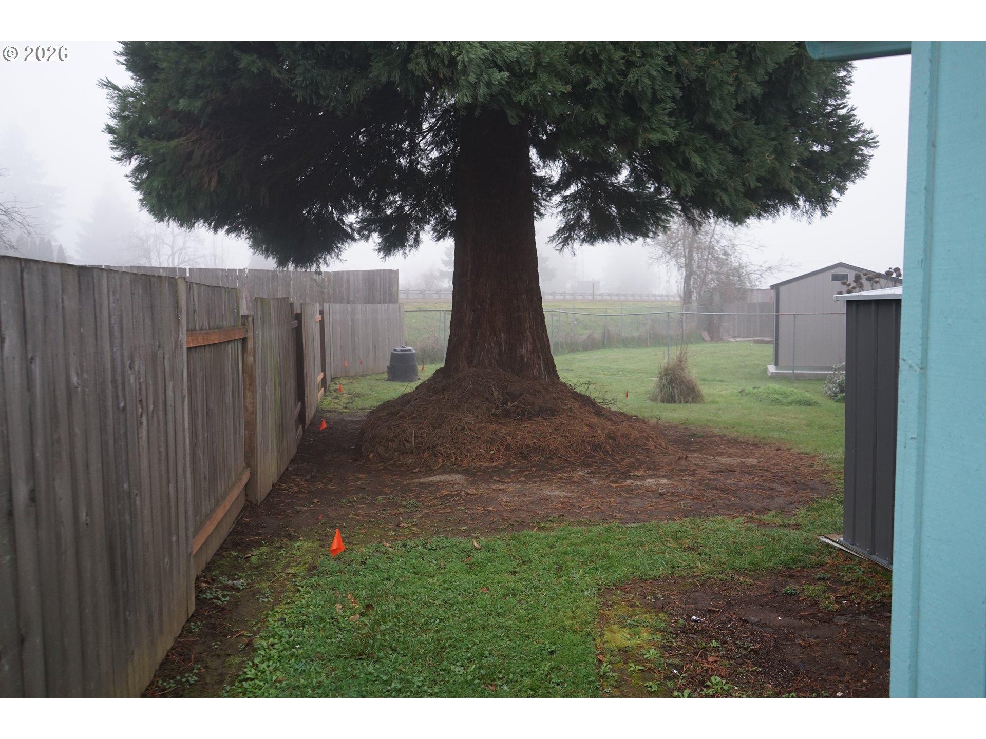 802 54th Place Springfield, OR 97478 - Photo 20 of 27 a view of outdoor space and yard