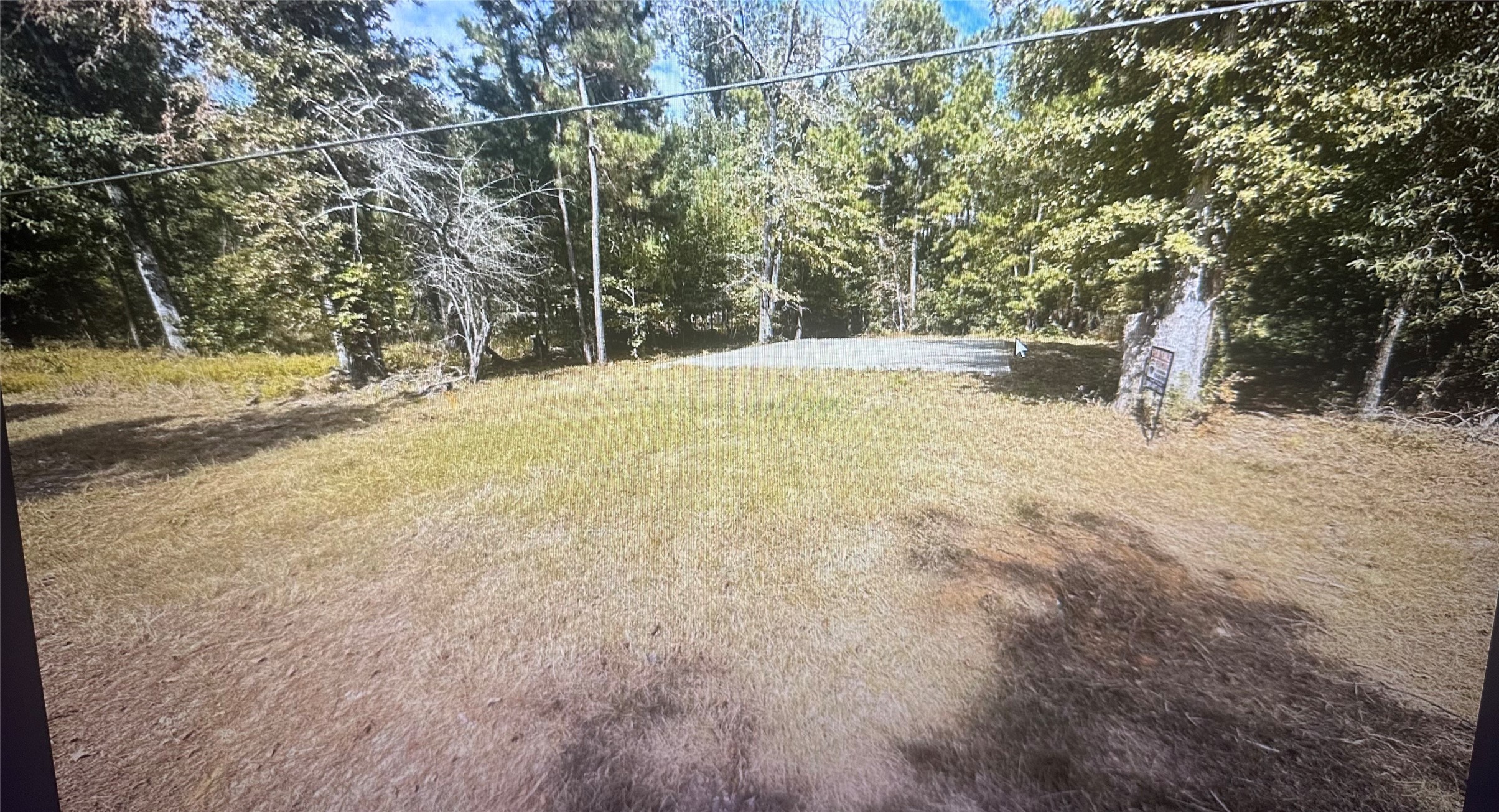 a view of yard with trees