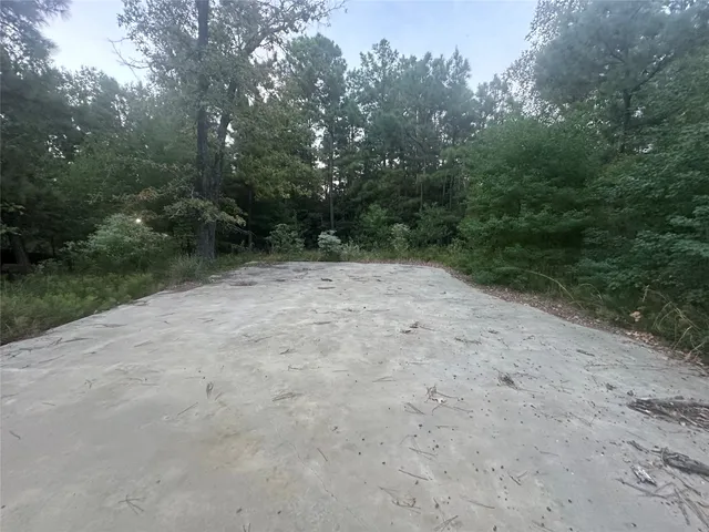 a view of a dirt road with trees in the background