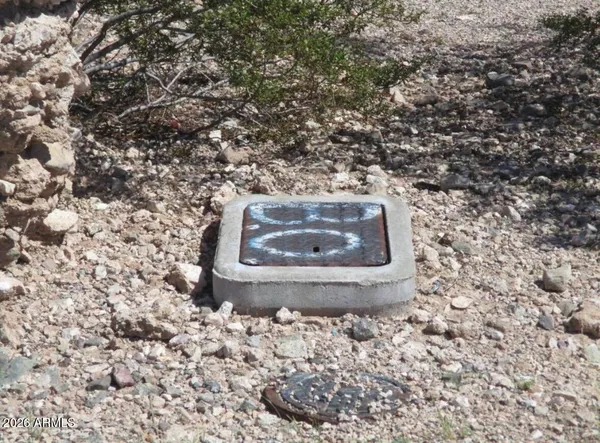 a view of a forest covered with snow