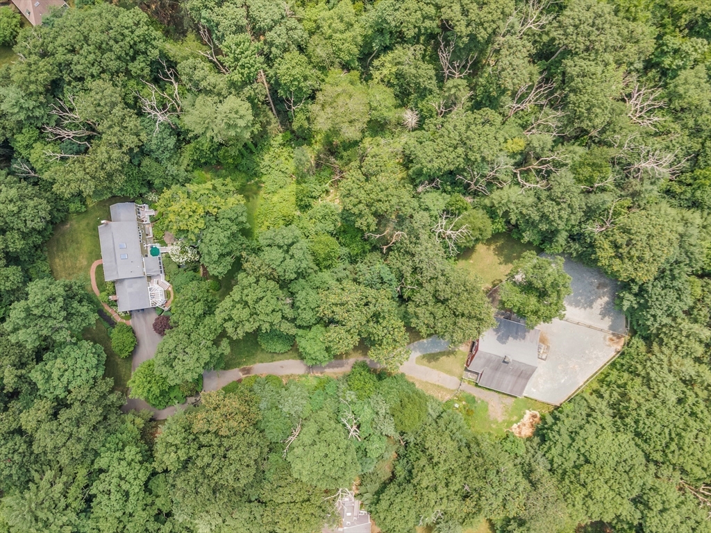 121 Bogastow Brook Road Sherborn, MA 01770 - Photo 4 of 42 Gallery Image 4