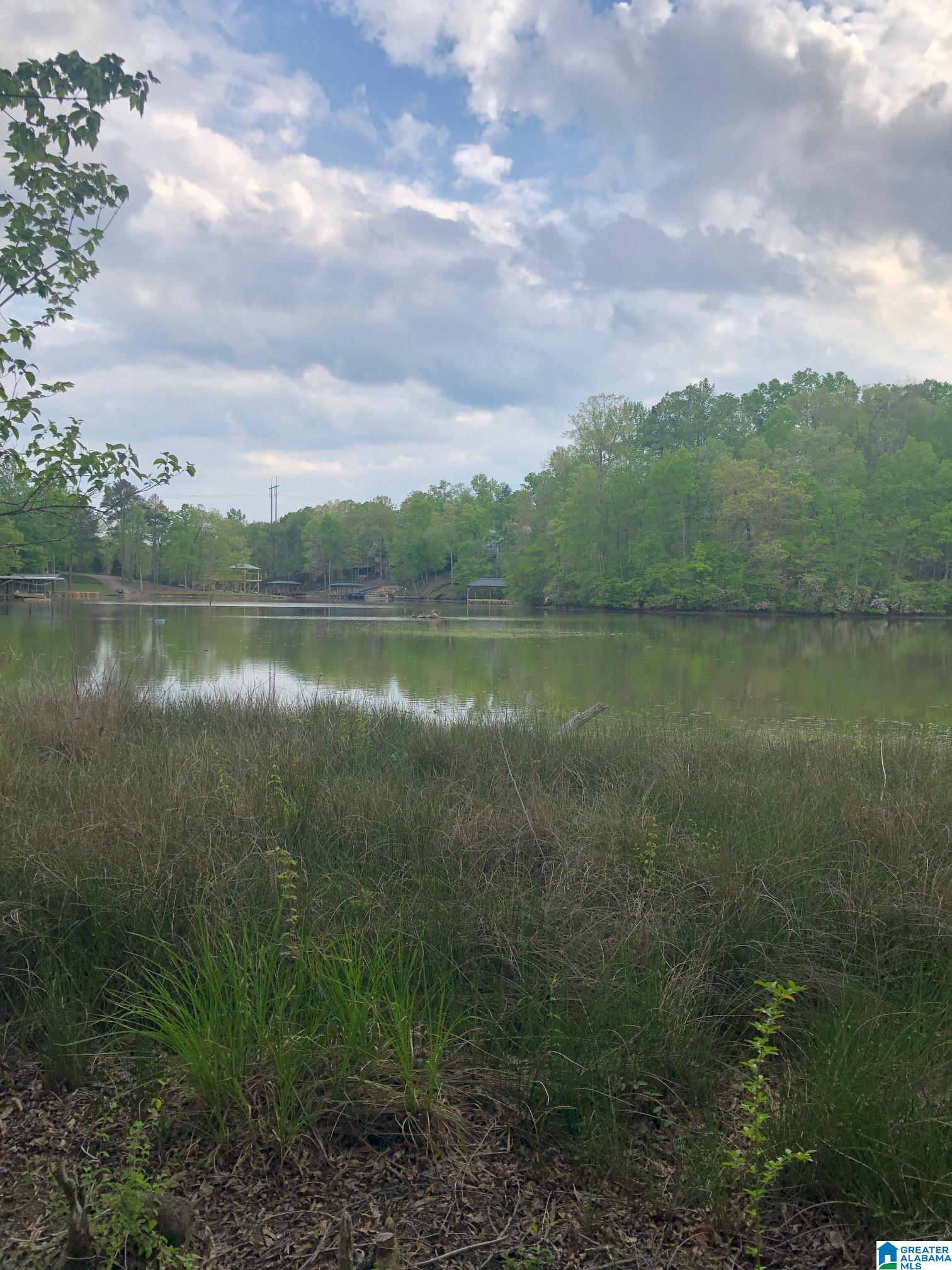 244 County Road, Unit 9 Woodland, AL 36280 - Photo 2 of 5