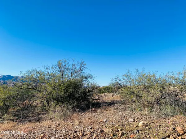 $9,540 | 1220 Calle Tubatana, Unit 11, Rio Rico, AZ 85648