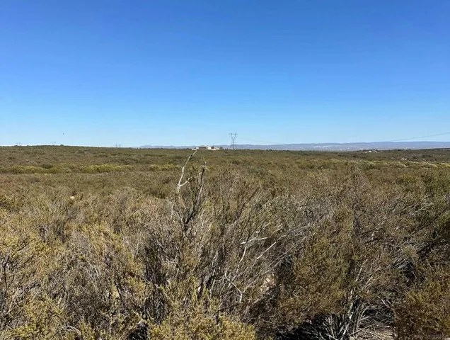 a view of an ocean beach