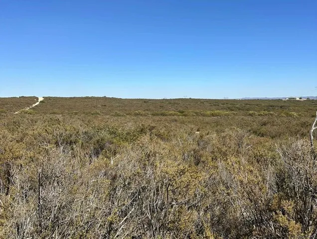 a view of a mountain range with trees