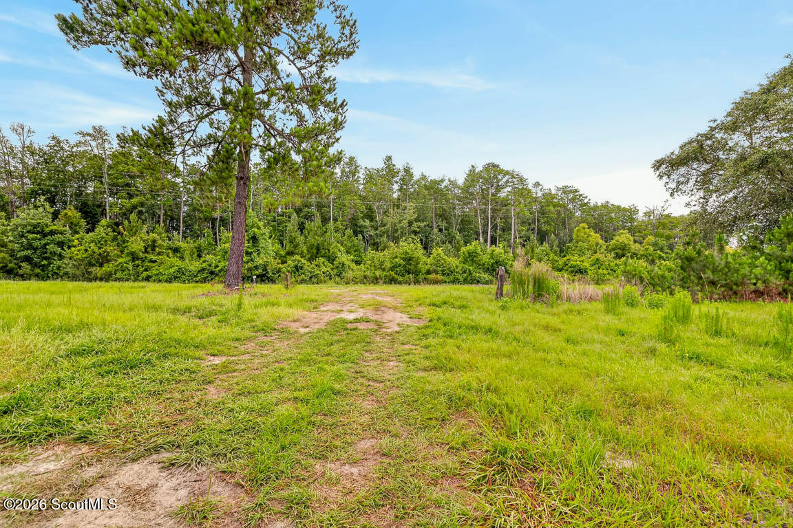 6401 Riverside Road Nahunta, GA 31553 - Photo 36 of 48 6401riverside-37