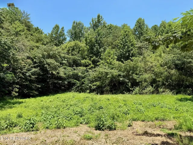 $425,000 | 0 Ogle Drive, Pigeon Forge, TN 37863