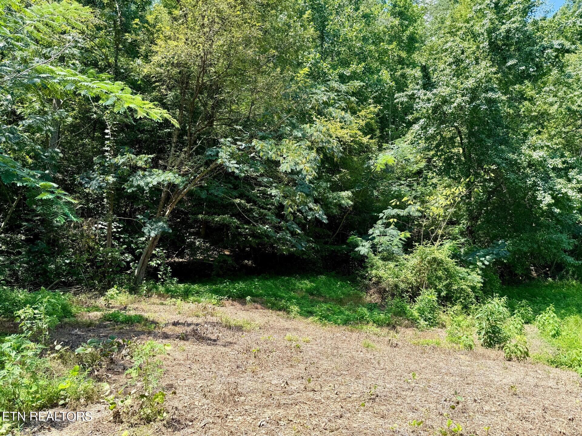 0 Ogle Drive Pigeon Forge, TN 37863 - Photo 2 of 9 2