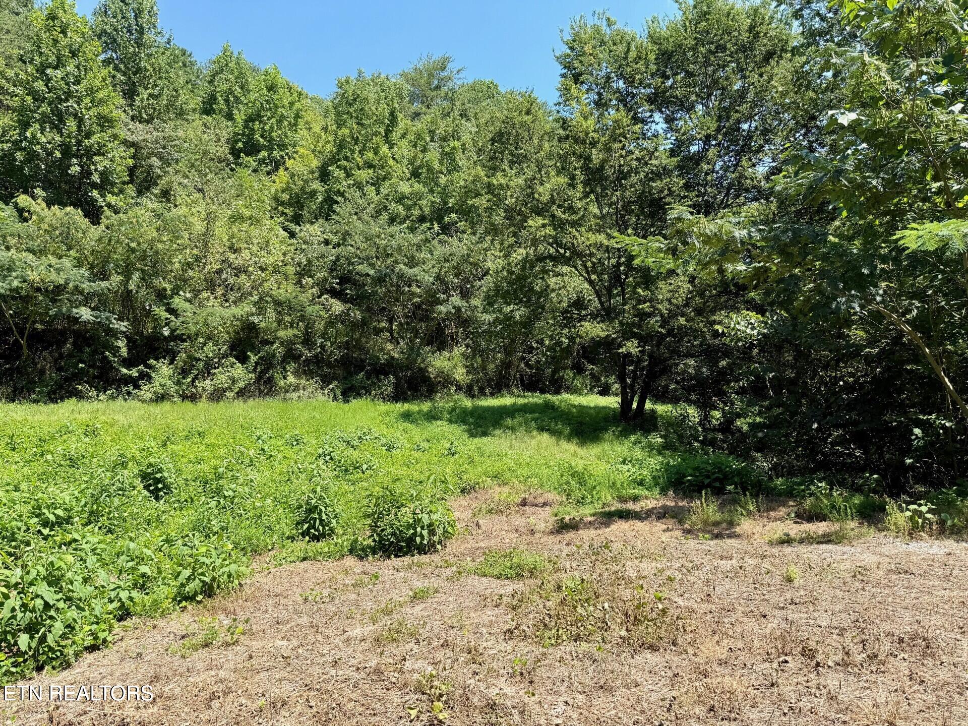 0 Ogle Drive Pigeon Forge, TN 37863 - Photo 3 of 9 3