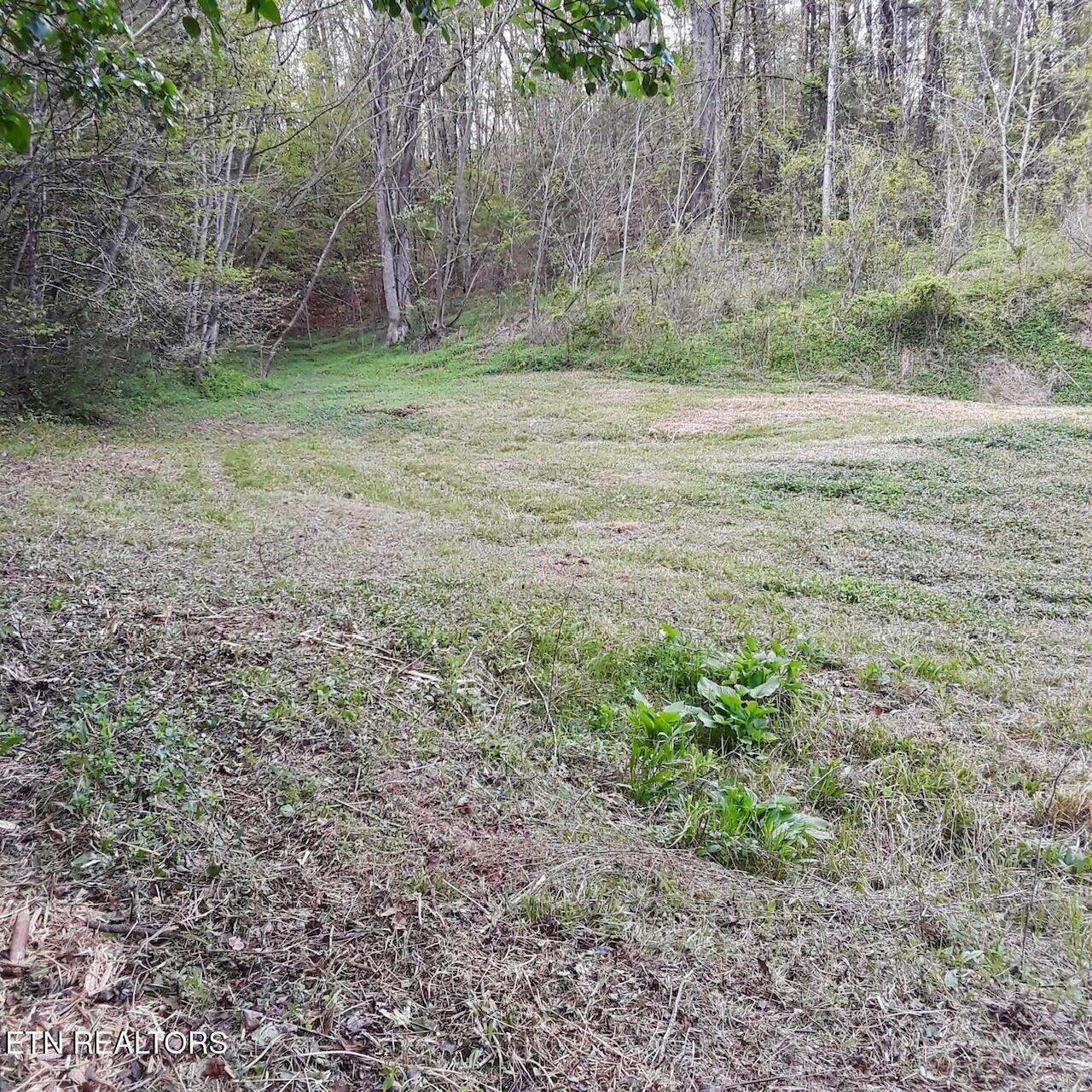 0 Ogle Drive Pigeon Forge, TN 37863 - Photo 4 of 9 4