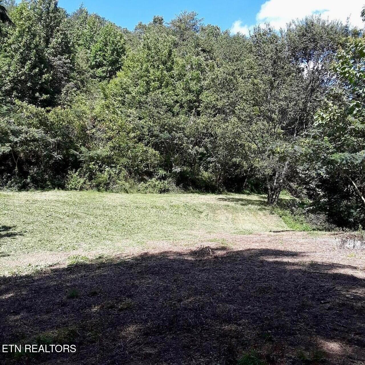 0 Ogle Drive Pigeon Forge, TN 37863 - Photo 6 of 9 6