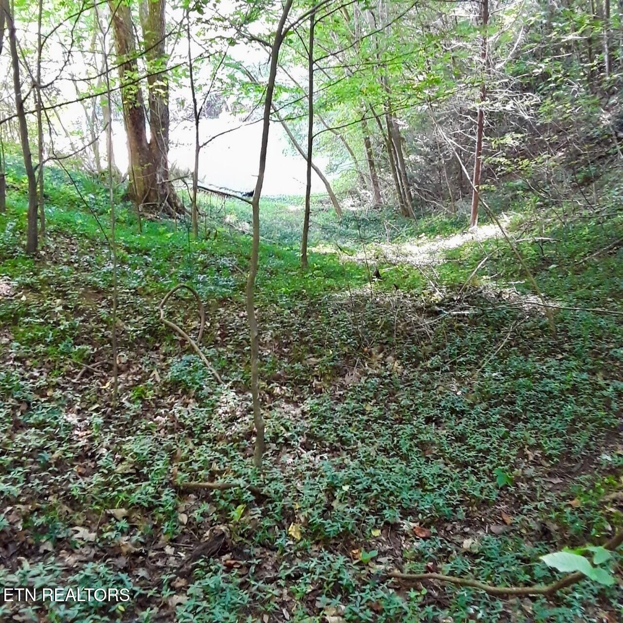 0 Ogle Drive Pigeon Forge, TN 37863 - Photo 7 of 9 7