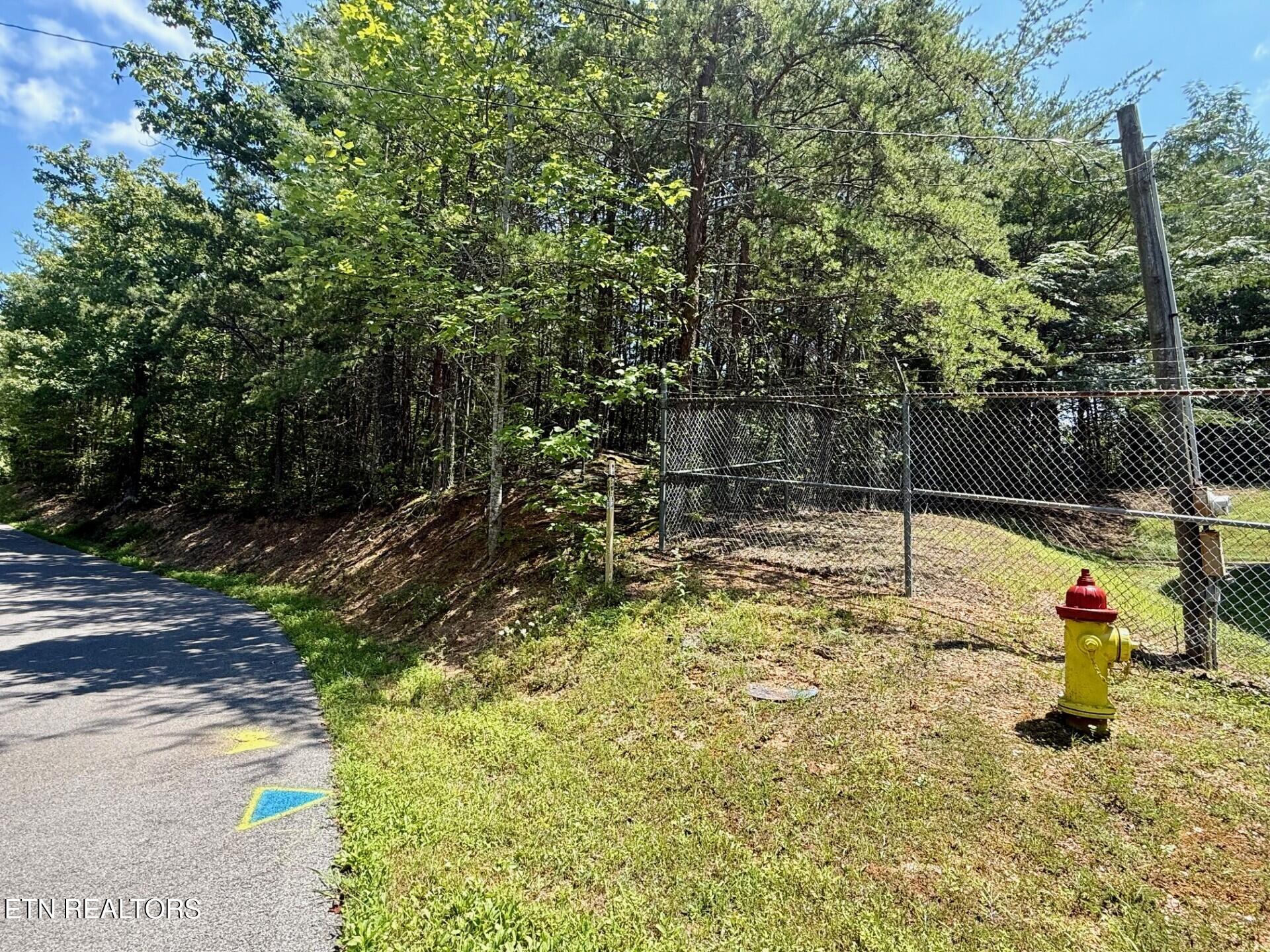 0 Ogle Drive Pigeon Forge, TN 37863 - Photo 8 of 9 8