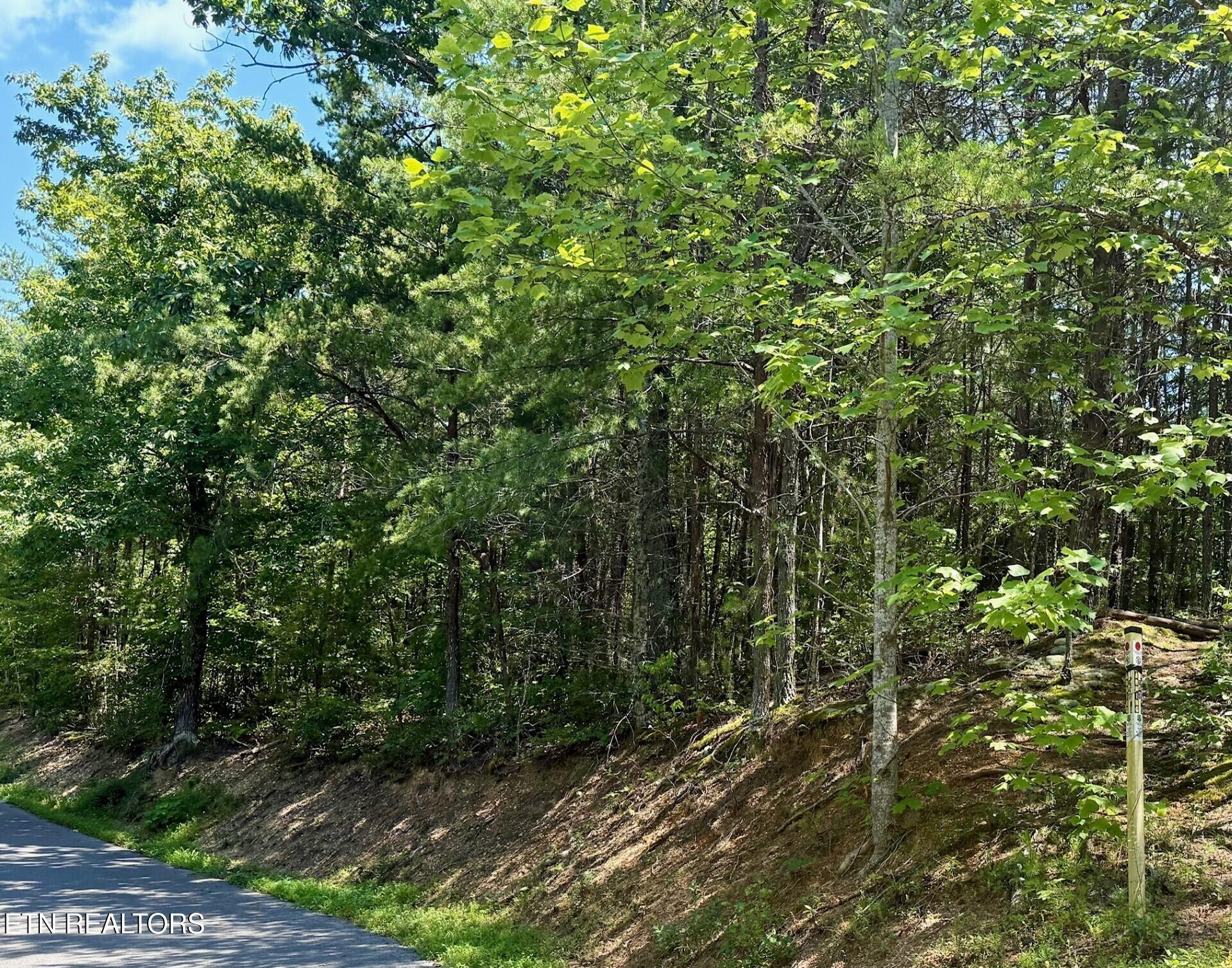 0 Ogle Drive Pigeon Forge, TN 37863 - Photo 9 of 9 9