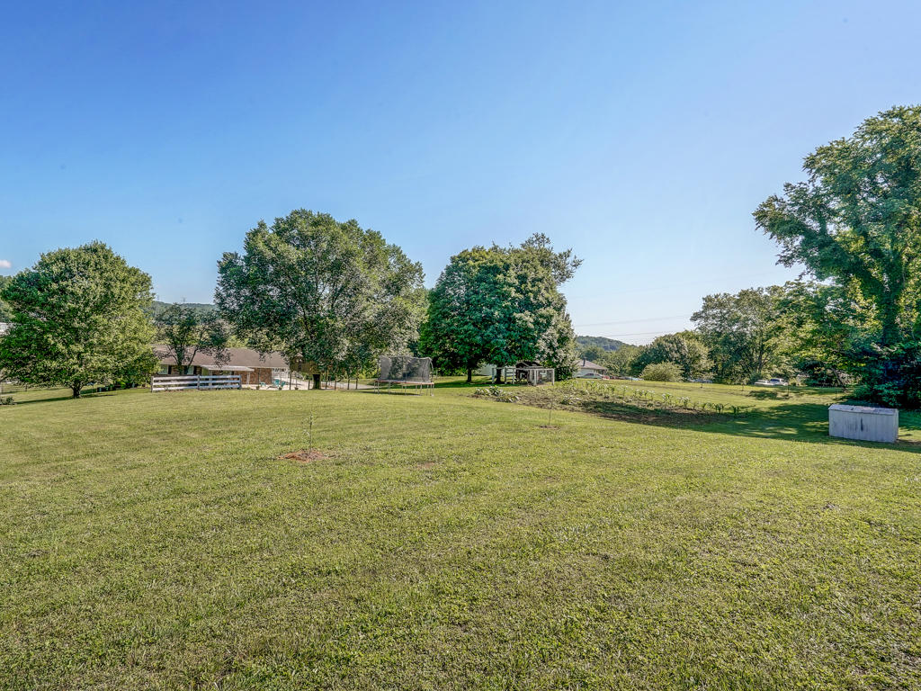 685 Weaver Branch Road Bluff City, TN 37618 - Photo 6 of 57 685 Weaver Branch MLS01506