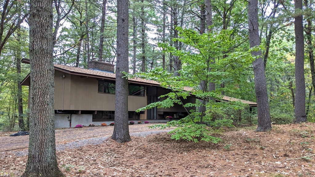 41 Belvedere Road Boxford, MA 01921 - Photo 1 of 16 a view of a house with large trees and a forest