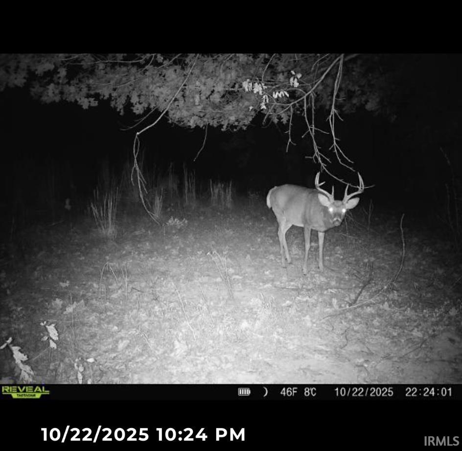 1 Beech Tree Road Nineveh, IN 46164 - Photo 10 of 15