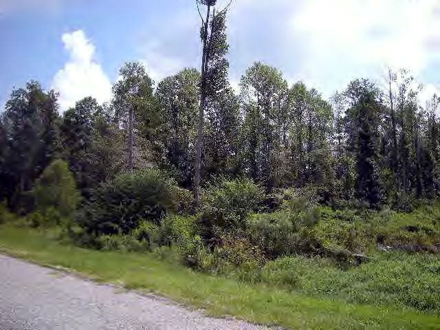 0 Union Road Southeast Brookhaven, MS 39601 - Photo 1 of 1 Main View