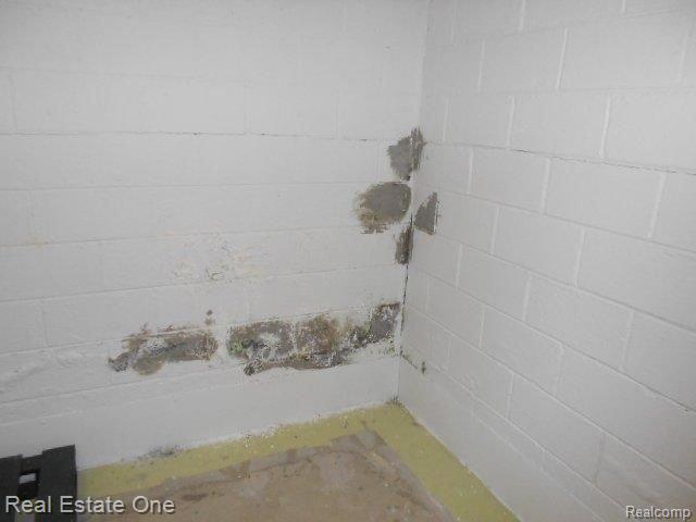 23741 Rausch Avenue Eastpointe, MI 48021 - Photo 14 of 17 23741 Rausch bsmt.jpg
