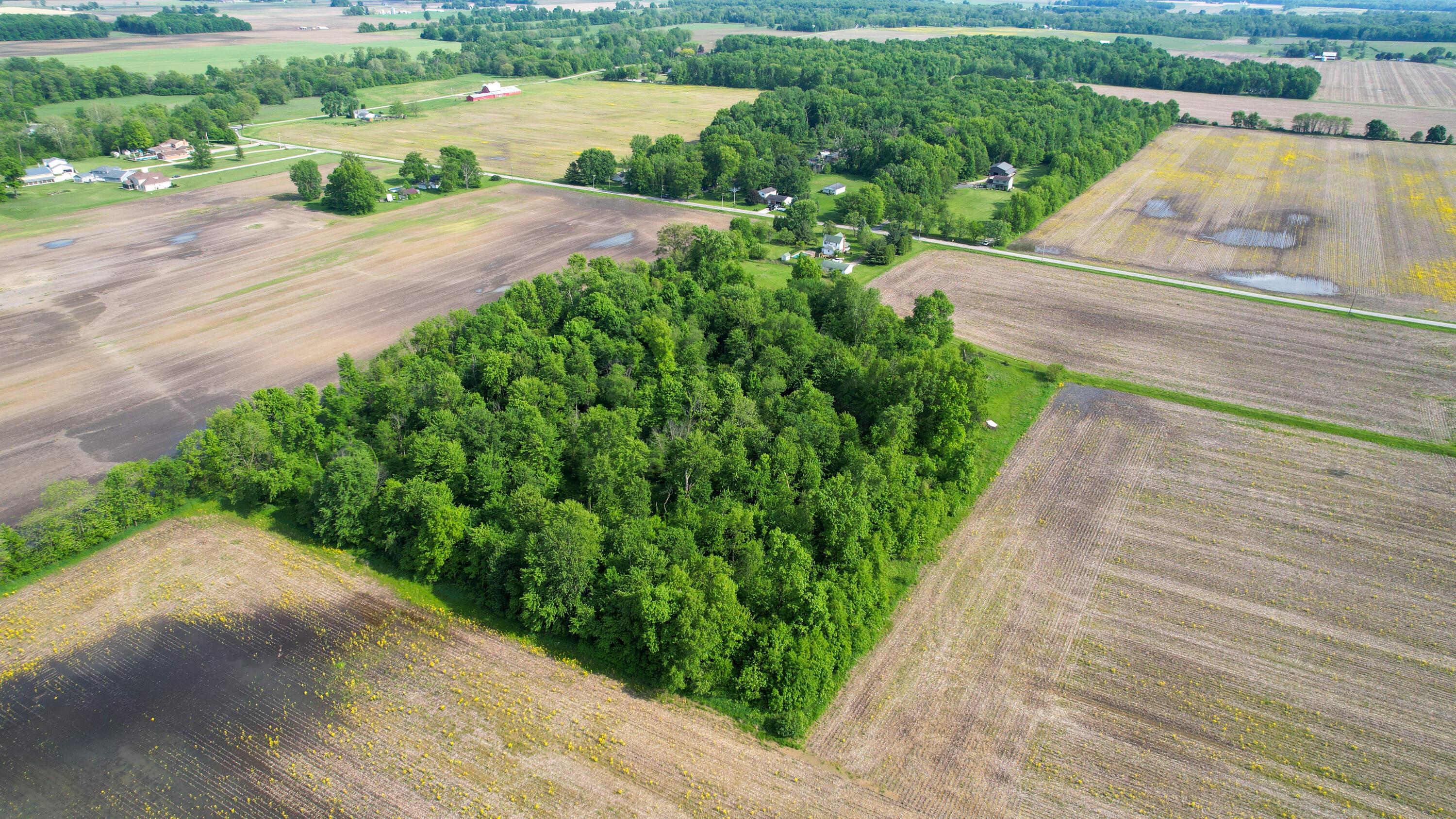 0 Marion-Williamsport Road East Caledonia, OH 43314 - Photo 10 of 11 DJI_0013