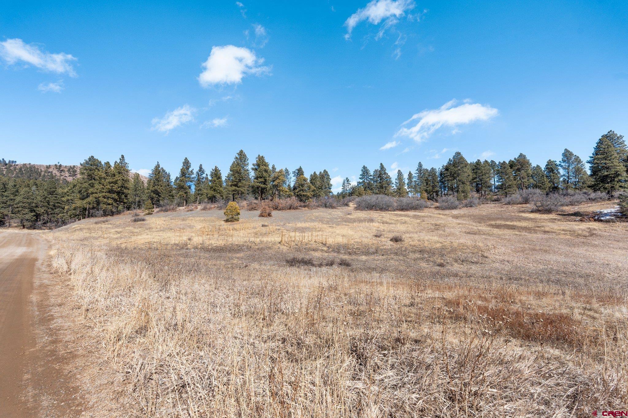1101 Los Ranchitos Drive Durango, CO 81301 - Photo 2 of 13 a view of a big yard with large trees