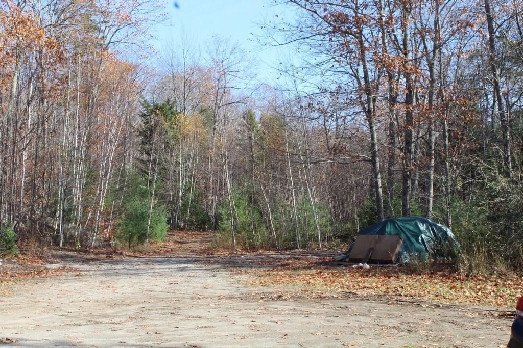 53 Hornbeam Road Dedham, ME 04429 - Photo 19 of 23 Photo