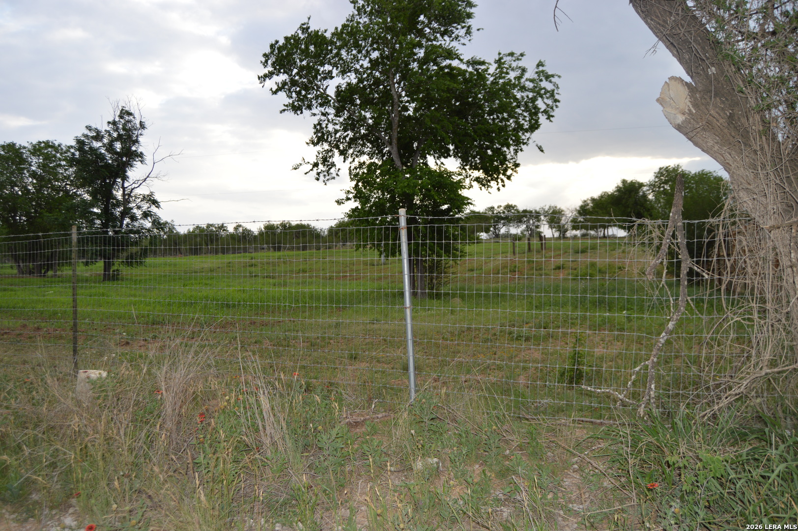 2880 Blue Wing Road San Antonio, TX 78221 - Photo 6 of 13