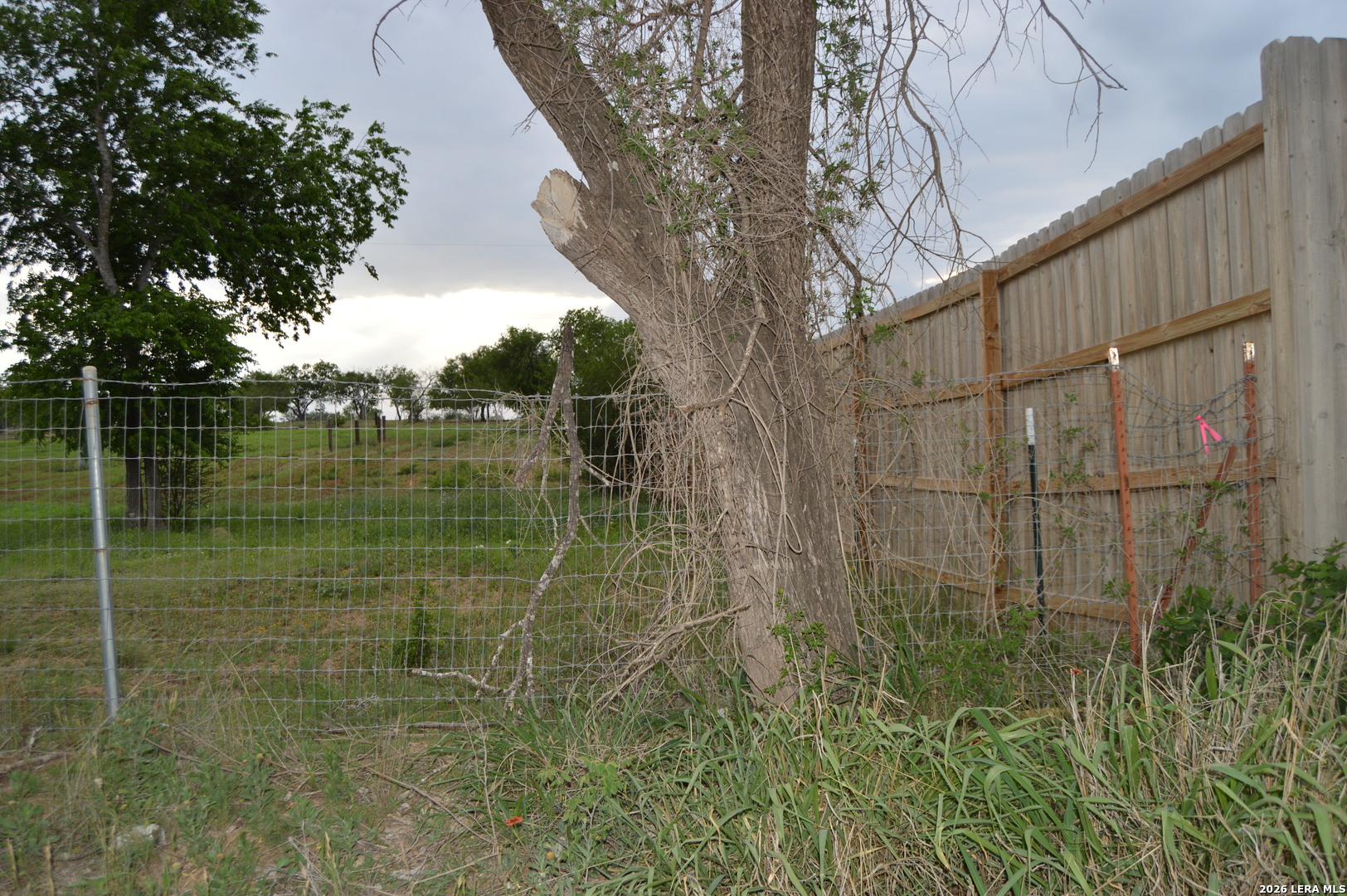 2880 Blue Wing Road San Antonio, TX 78221 - Photo 7 of 13