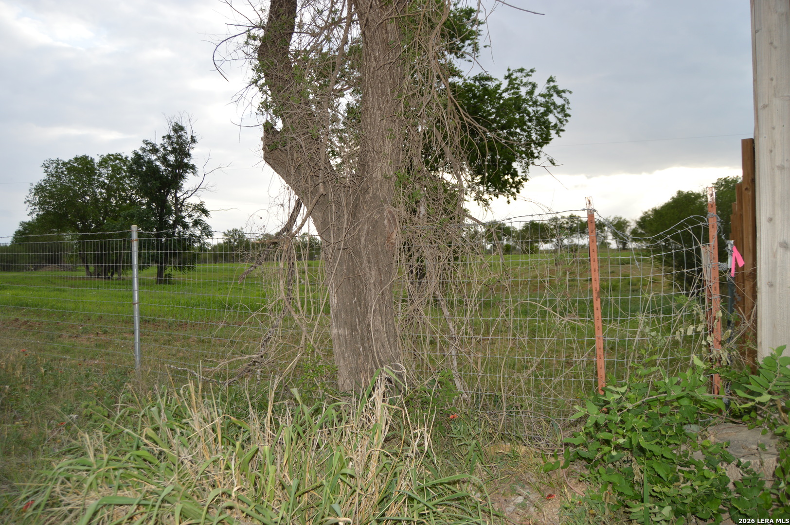 2880 Blue Wing Road San Antonio, TX 78221 - Photo 8 of 13