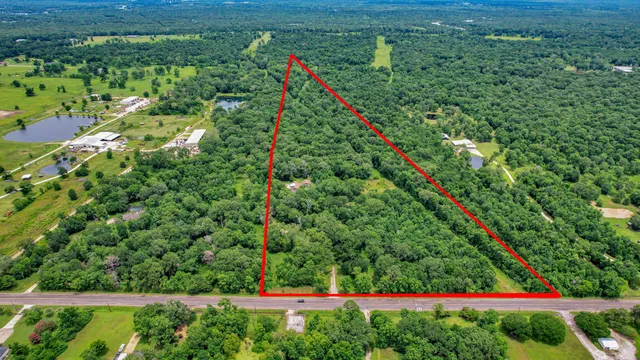 a view of a park with large trees