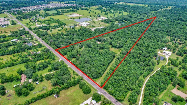 a view of a lush green forest