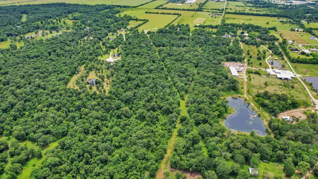 a view of a yard with plants