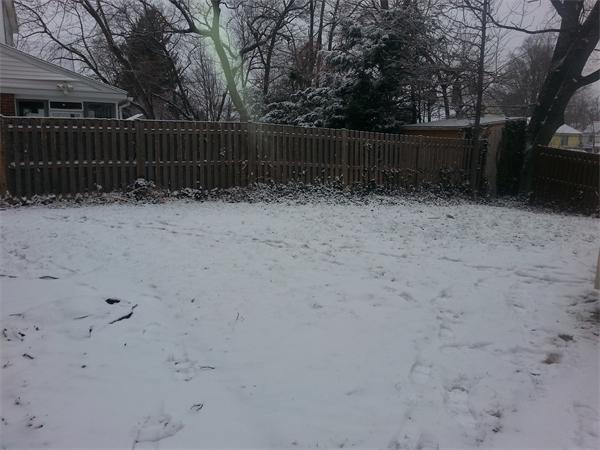 43 Appleton Street Springfield, MA 01108 - Photo 27 of 29 a view of backyard with wooden fence