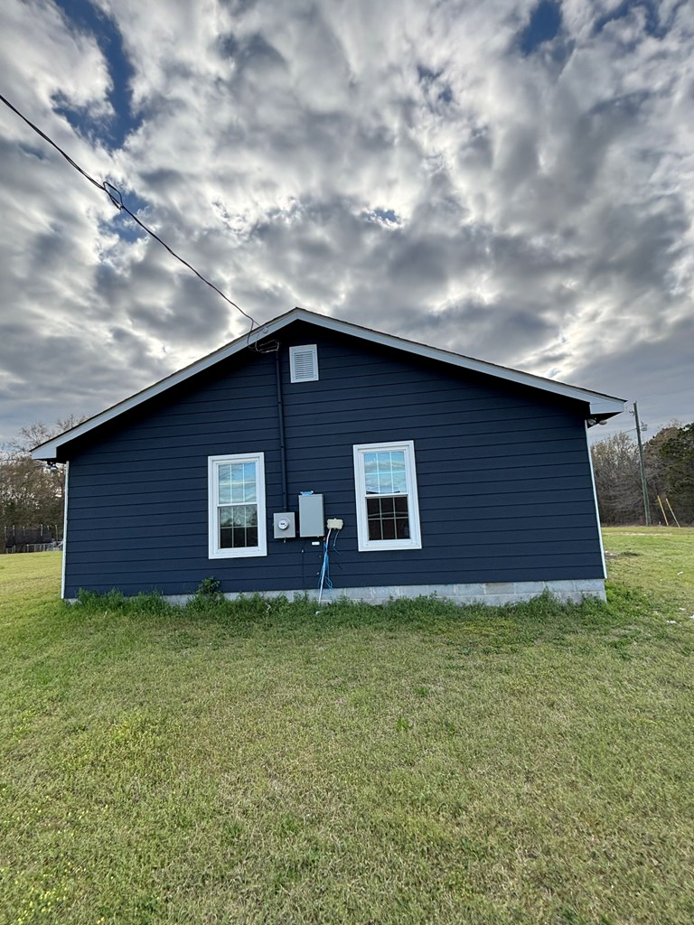 114 Mccarthy Road Buena Vista, GA 31803 - Photo 21 of 27 a backyard of a house with lots of green space