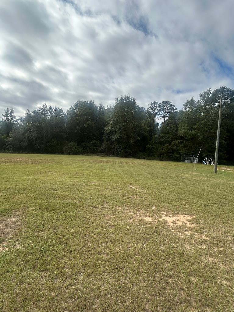 114 Mccarthy Road Buena Vista, GA 31803 - Photo 24 of 27 a view of a ocean view